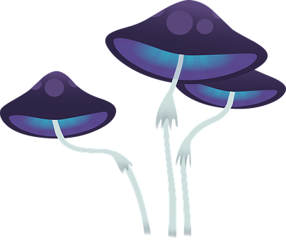 Glowing Fantasy Mushrooms PNG Image