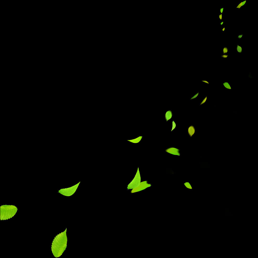 Glowing Leavesin Darkness PNG Image