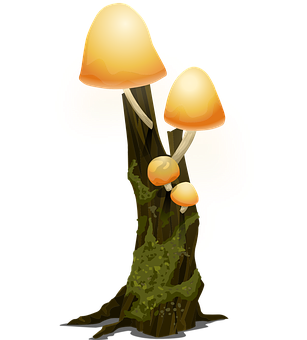 Glowing Mushroomson Tree Trunk PNG Image