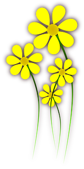 Glowing Yellow Flowers Black Background PNG Image