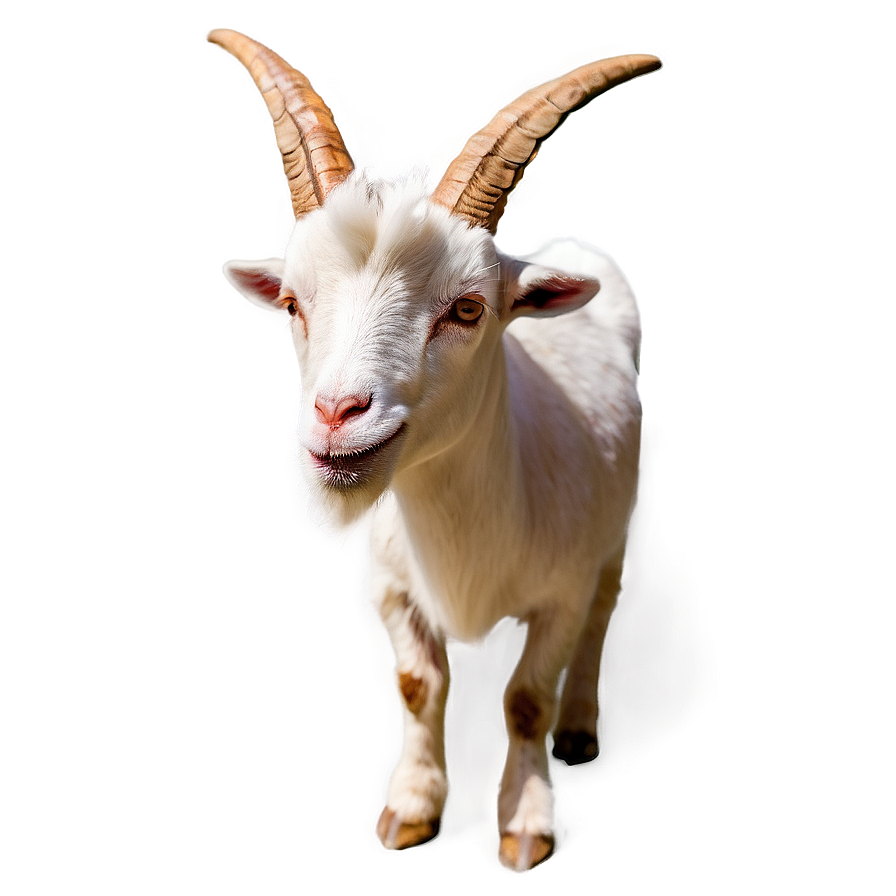 Goat Emoji Png Jmh PNG Image