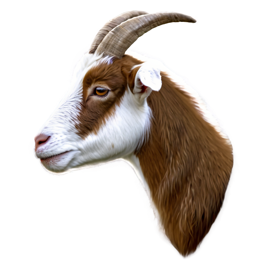 Goat Head Png 12 PNG Image