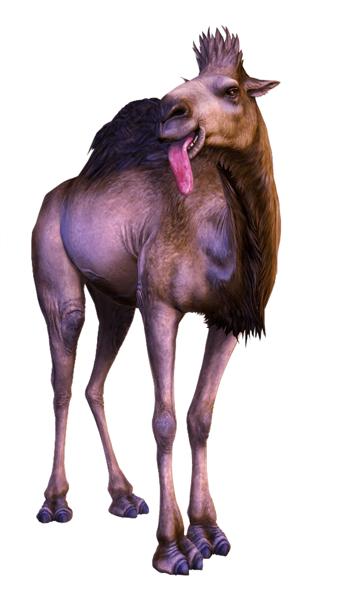 Goat_ Sticking_ Out_ Tongue PNG Image