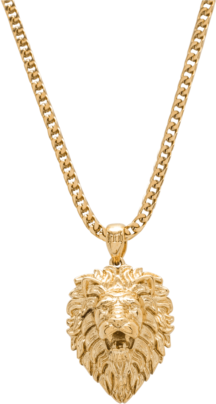 Gold Lion Pendant Necklace PNG Image