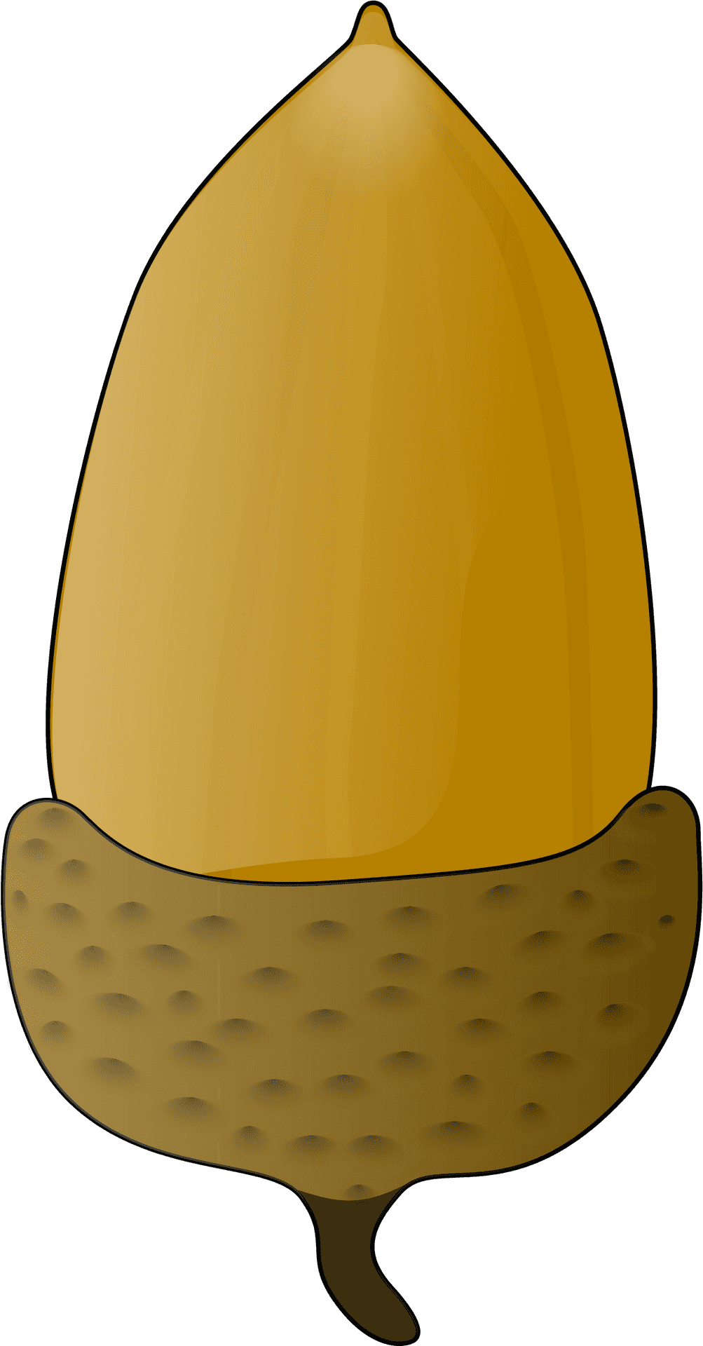 Golden Acorn Illustration PNG Image