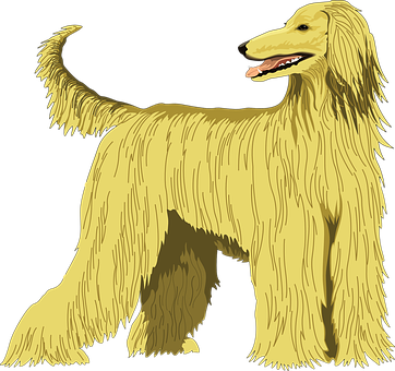 Golden Afghan Hound Illustration PNG Image