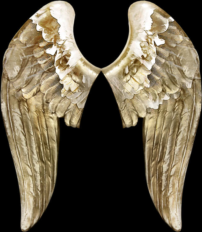 Golden_ Angel_ Wings_ Artwork PNG Image