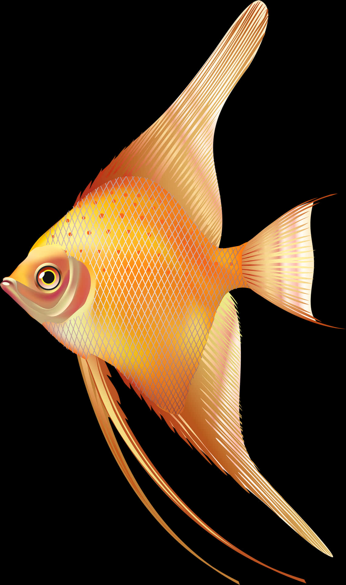 Golden Angelfish Illustration PNG Image