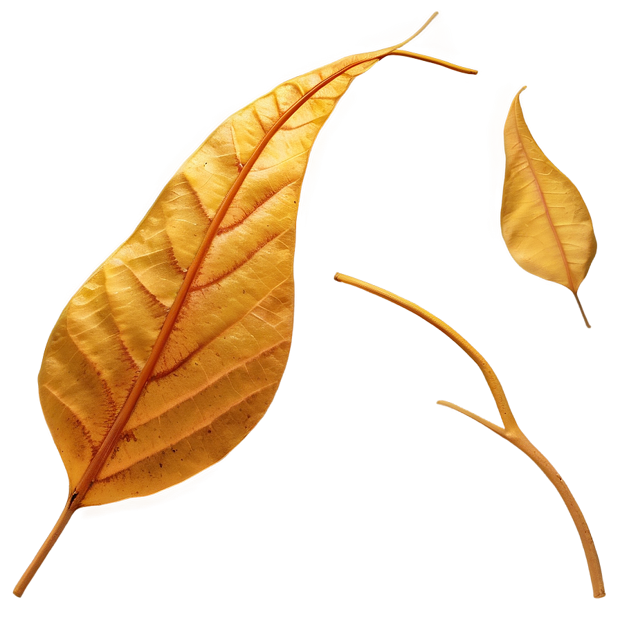 Golden Autumn Leaves Png Pxx PNG Image