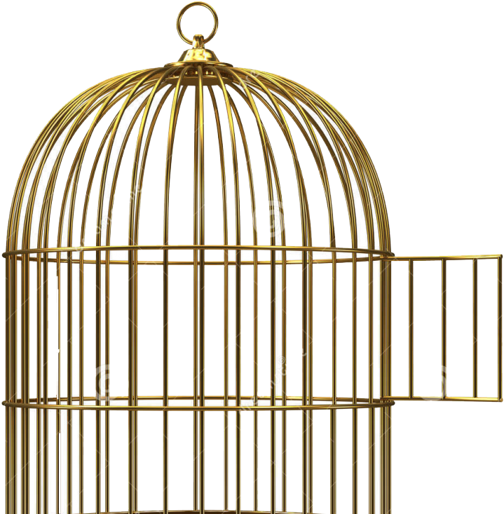 Golden Birdcage Empty PNG Image