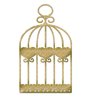 Golden Birdcage Graphic PNG Image