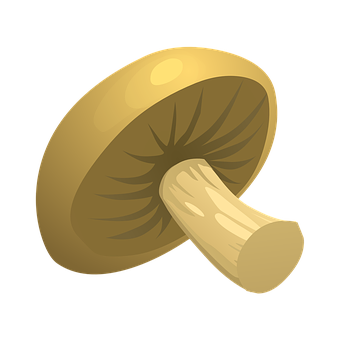 Golden Cap Mushroom Vector Illustration PNG Image