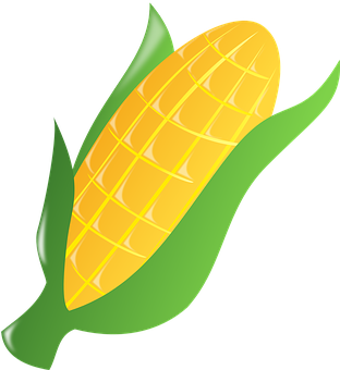 Golden Corn Ear Vector Illustration PNG Image