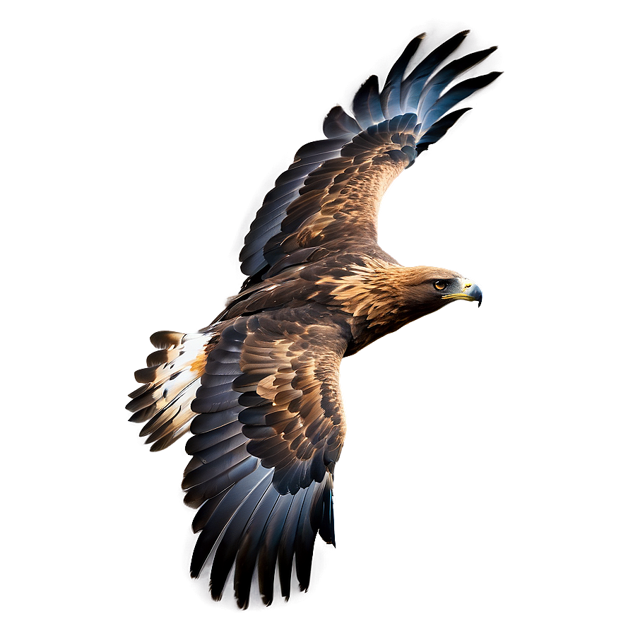 Golden Eagle Flapping Wings Png 06202024 PNG Image