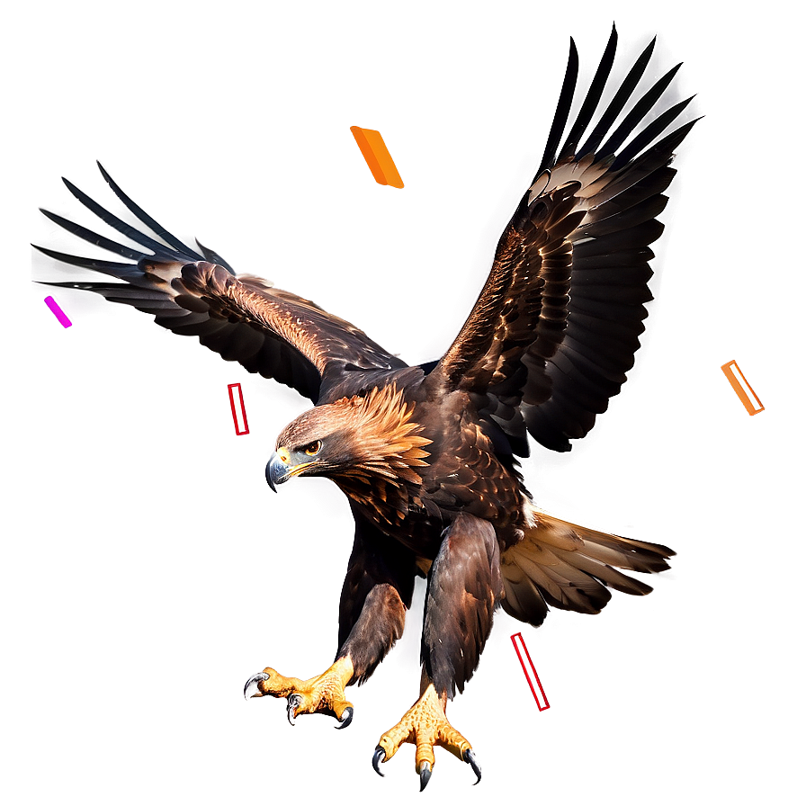 Golden Eagle In Dynamic Pose Png Ltw32 PNG Image