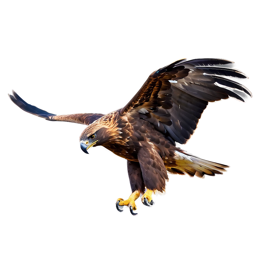 Golden Eagle In Mid-hunt Png Wyo PNG Image