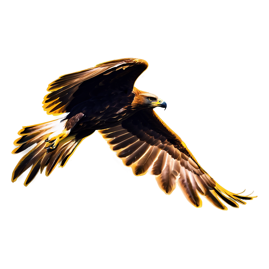 Golden Eagle Silhouette Png 06202024 PNG Image