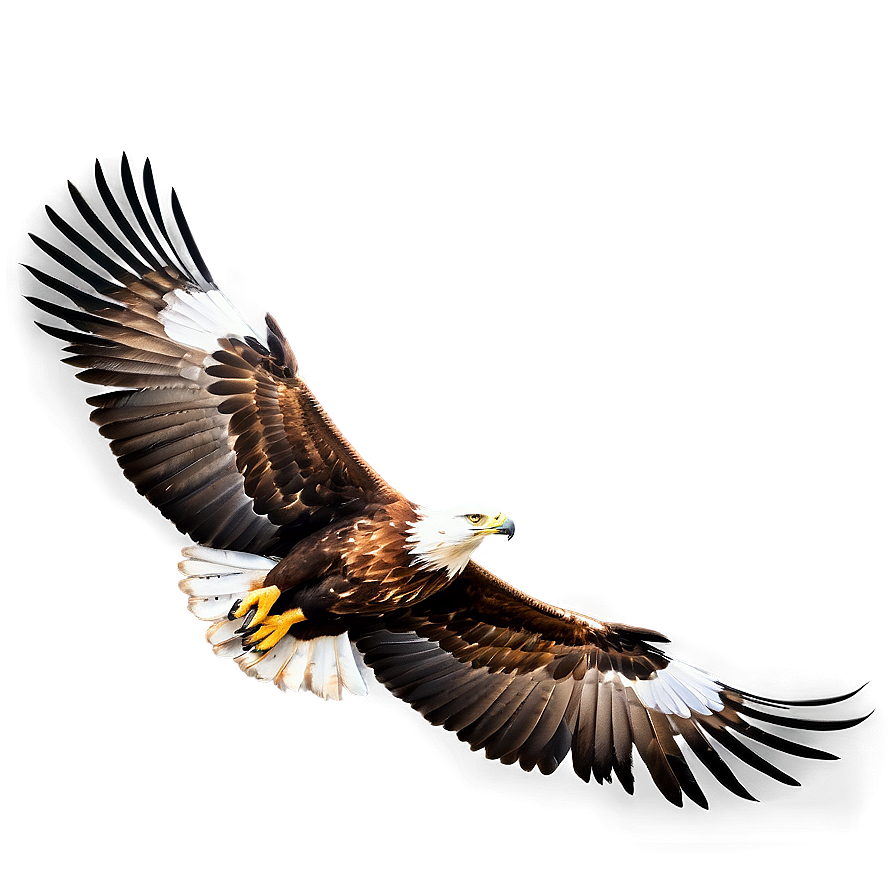 Golden Eagle Wings Spread Png Ndo79 PNG Image