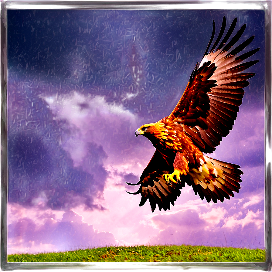 Golden Eagle With Dramatic Sky Png 25 PNG Image