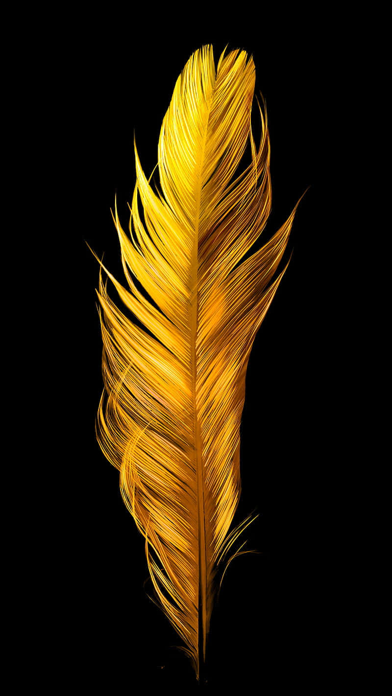 Golden Feather Black Background PNG Image