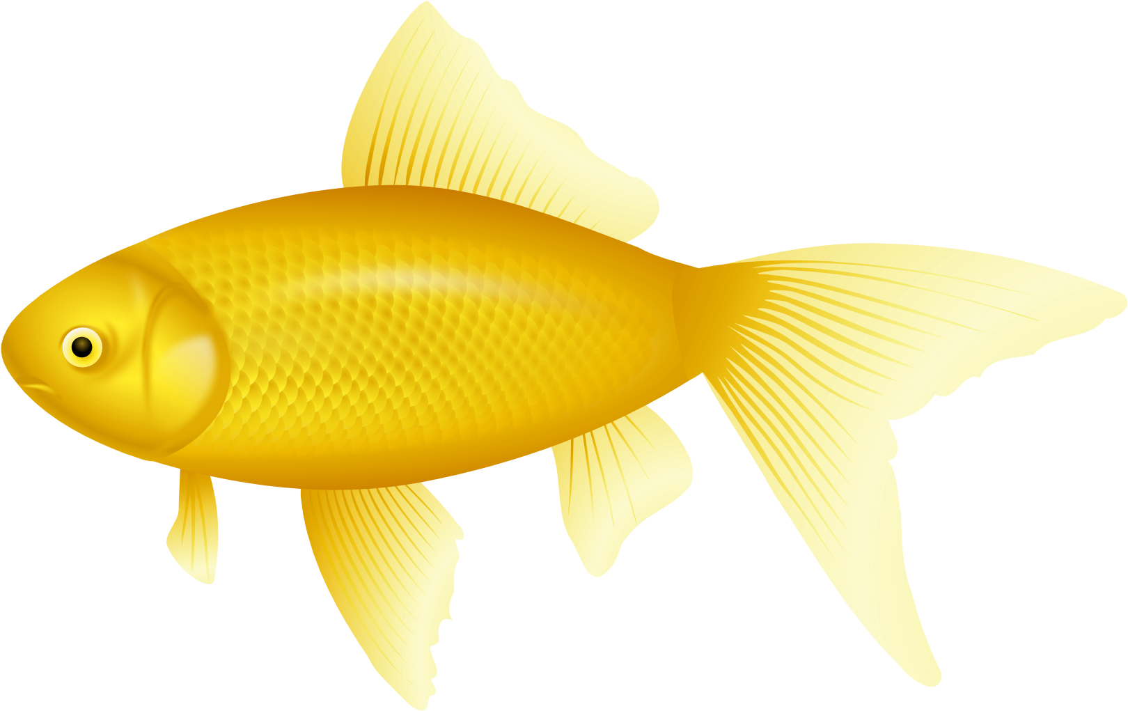 Golden Fish Illustration PNG Image