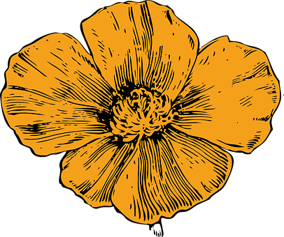 Golden Floral Illustration PNG Image