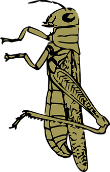 Golden Grasshopper Silhouette PNG Image