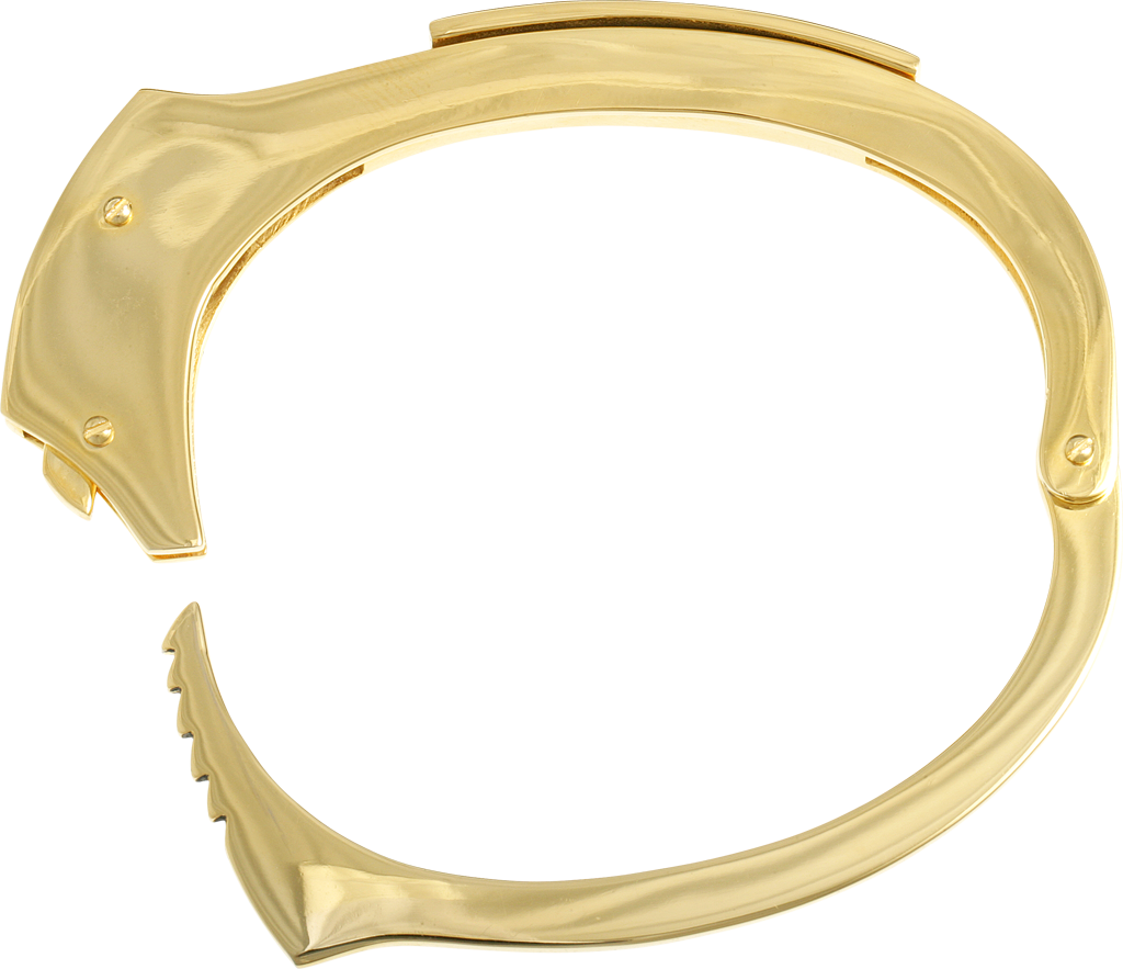 Golden Handcuff Single Open PNG Image