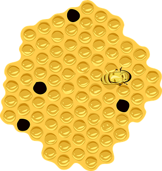 Golden Honeycombwith Bee PNG Image