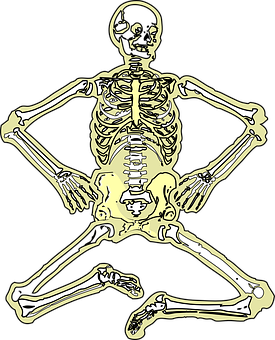 Golden Human Skeleton Illustration PNG Image