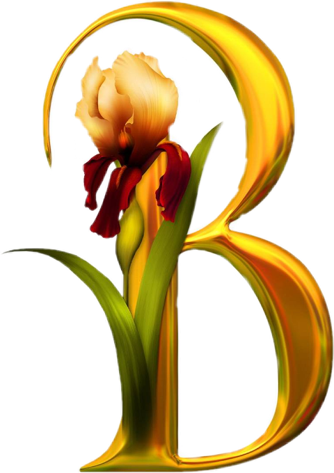 Golden Iris Letter B Design PNG Image