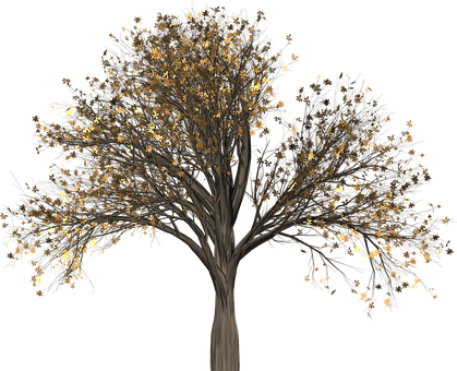 Golden Leaves Treeon Black Background PNG Image