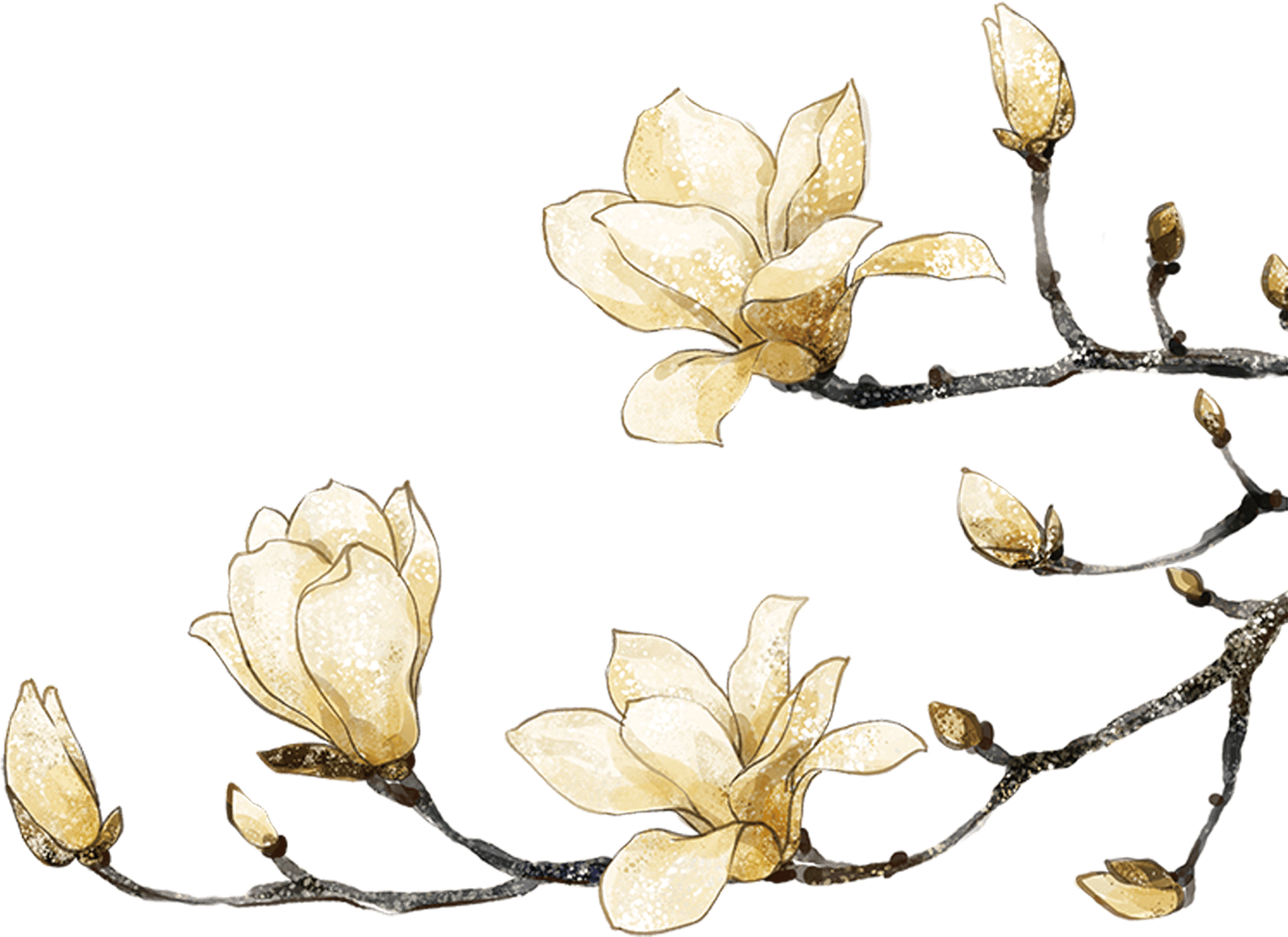 Golden Magnolia Blossoms Artwork PNG Image