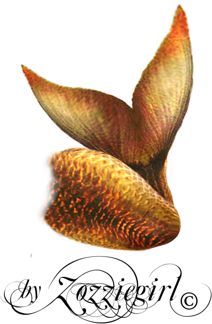 Golden Mermaid Tail Illustration PNG Image