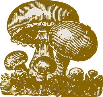 Golden_ Mushroom_ Illustration PNG Image