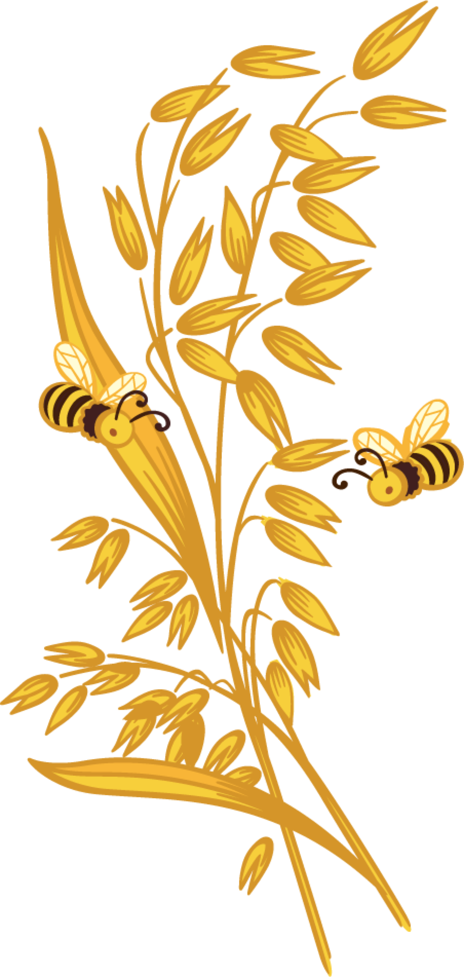 Golden Oatsand Bees Illustration PNG Image