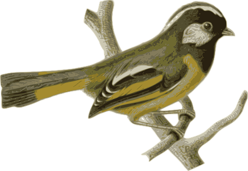 Golden Olive Bird Illustration PNG Image