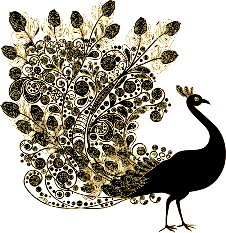 Golden Paisley Peacock Artwork PNG Image