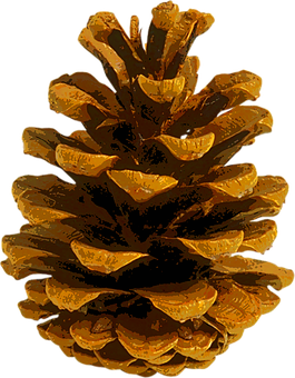 Golden Pinecone Autumn Vibes PNG Image