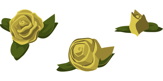 Golden_ Roses_ Vector_ Illustration PNG Image