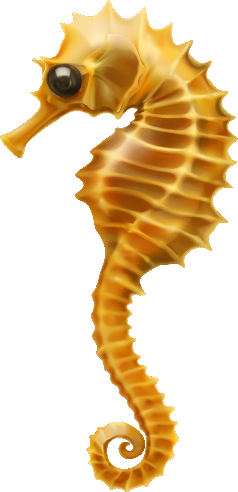 Golden Seahorse Illustration PNG Image