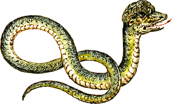 Golden Serpent Illustration PNG Image