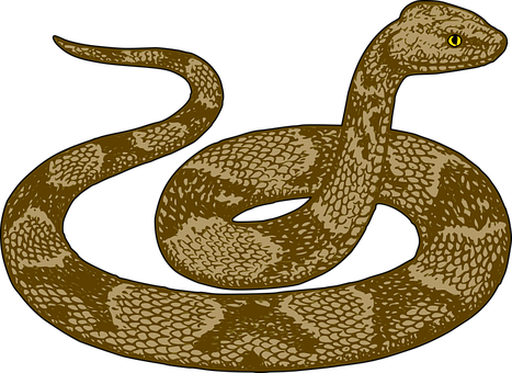 Golden_ Serpent_ Illustration PNG Image