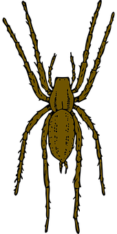 Golden Spider Silhouette PNG Image