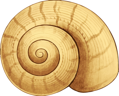 Golden_ Spiral_ Shell_ Closeup PNG Image