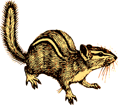 Golden Striped Squirrel Illustration PNG Image