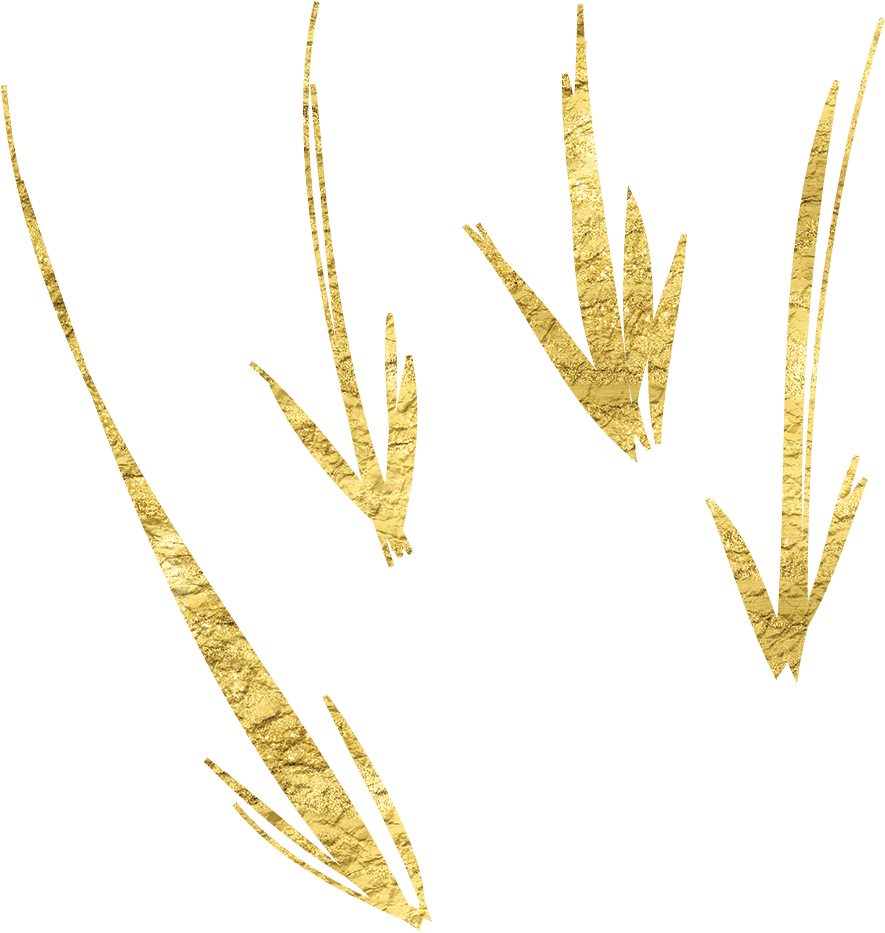 Golden Texture Hand Drawn Arrows PNG Image