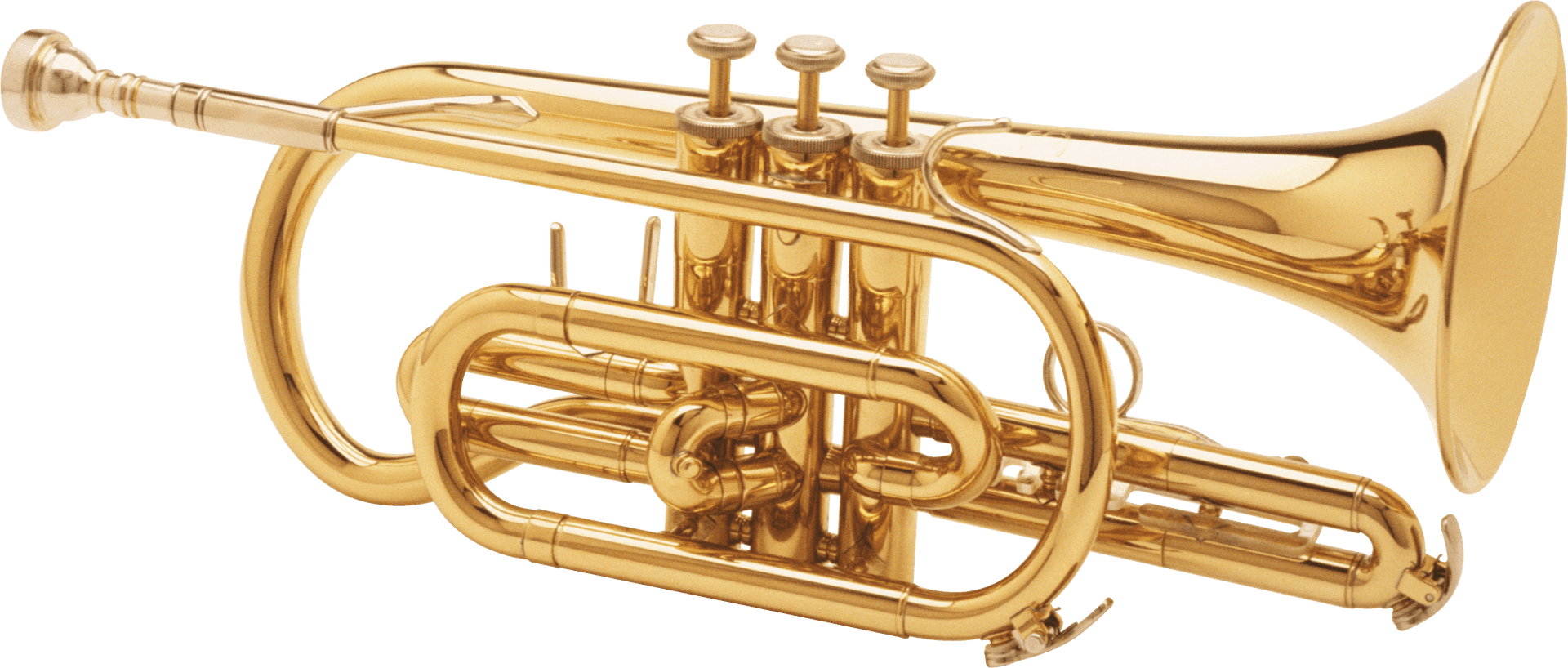 Golden Trumpet Isolatedon White PNG Image