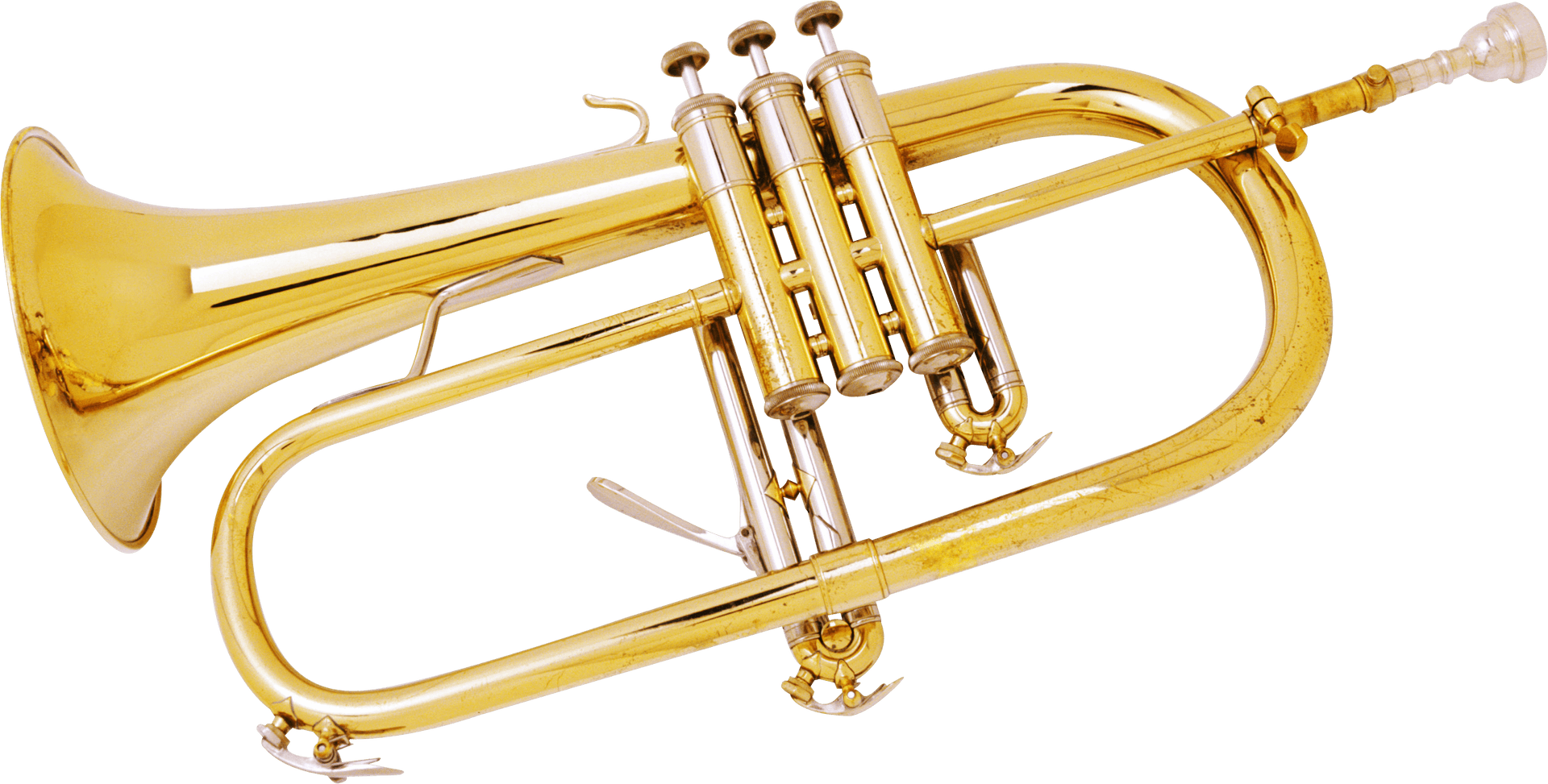 Golden Trumpet Isolatedon White PNG Image