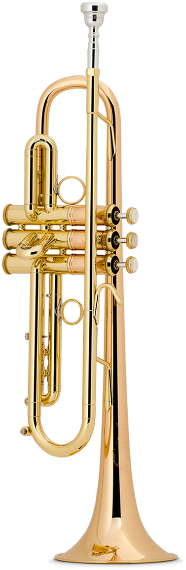 Golden Trumpet Standing PNG Image